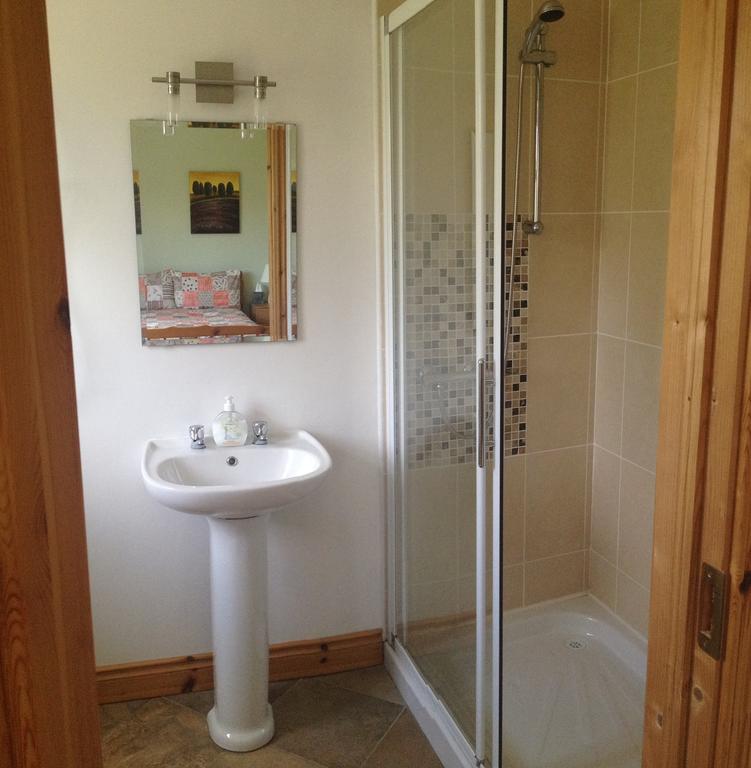 Amber B&B Ballyfarnon Ruang foto