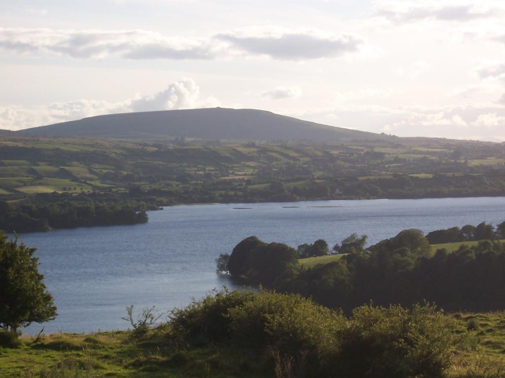 Amber B&B Ballyfarnon Bagian luar foto